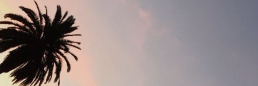 NicoMcNamee's profile banner image