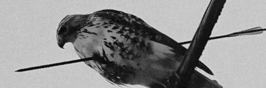 aykutozdmir's profile banner image