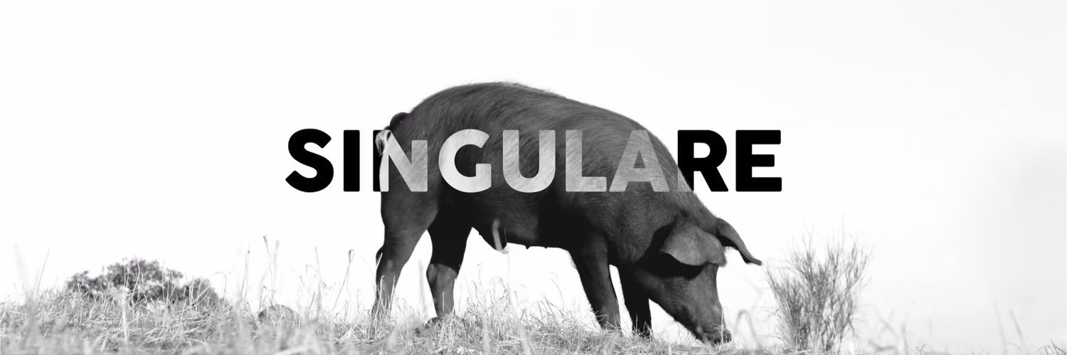 Curro Espinar Campos banner