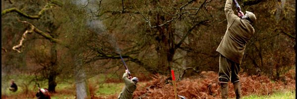 William__Powell Profile Banner