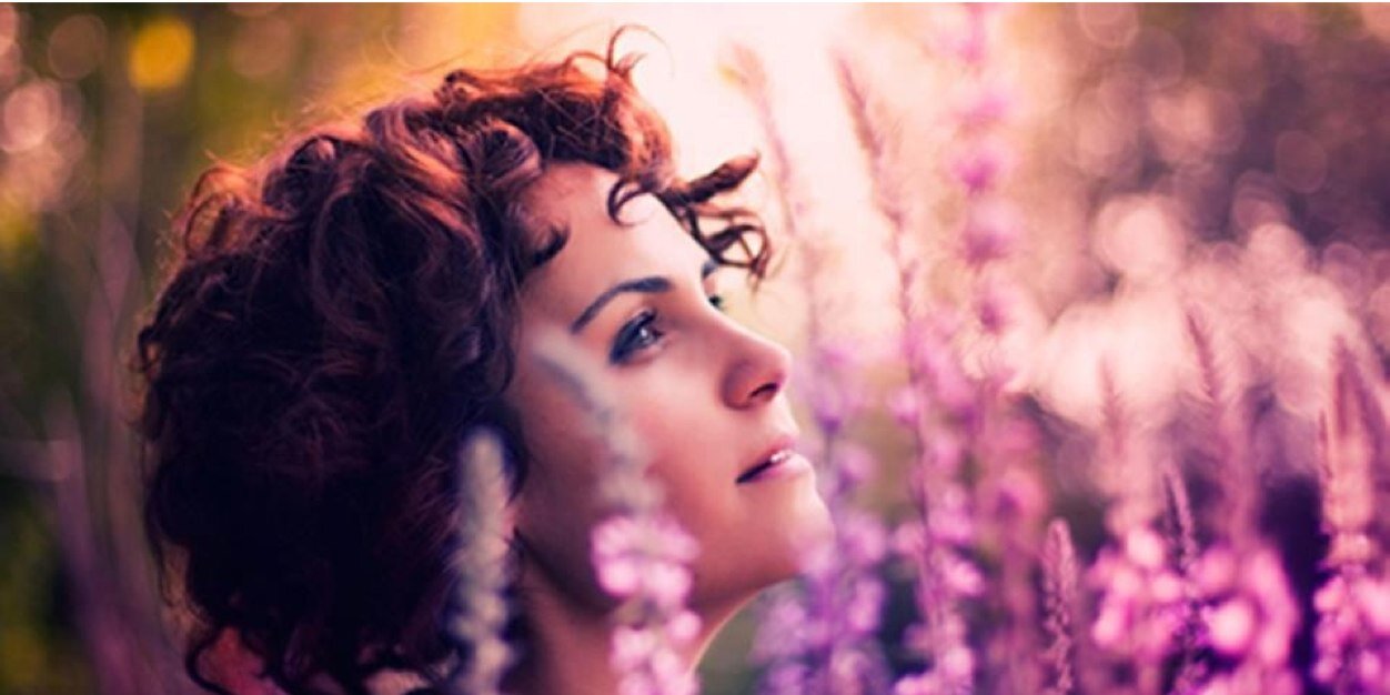FFeldmannSato's profile banner image