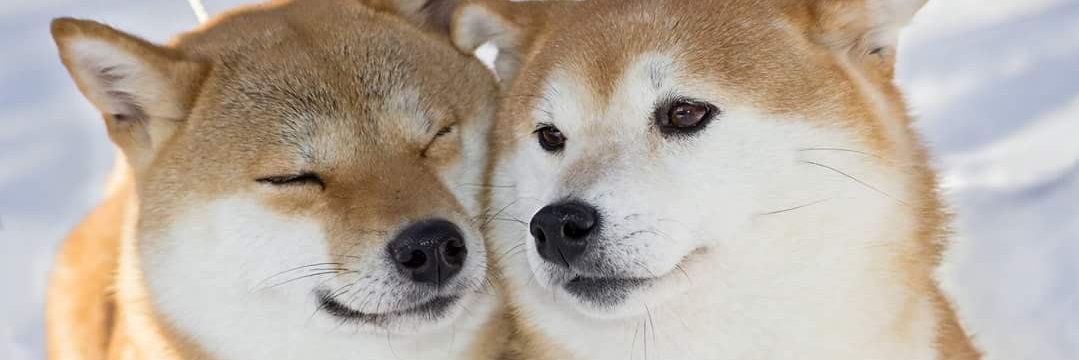 Nnoitrum's profile banner image