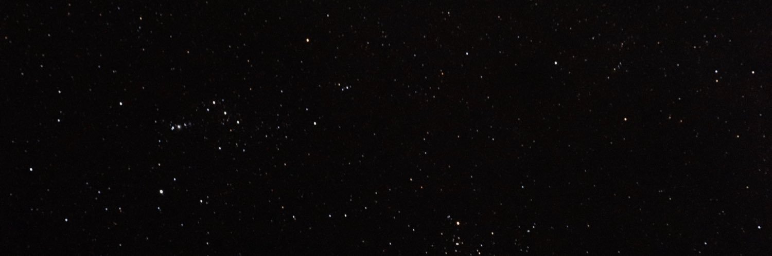 sofiaecheverrip's profile banner image