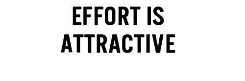 VeezoView My FAV banner