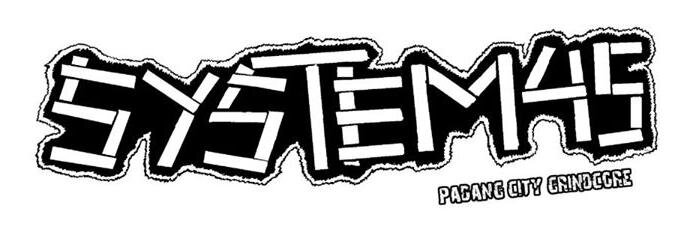 SYSTEM 45 banner