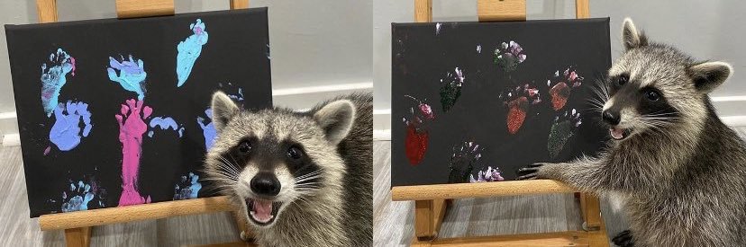 alexckenn's profile banner image