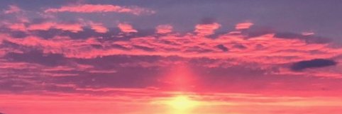 juliahanley's profile banner image