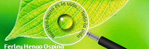 TPAGRO's profile banner image