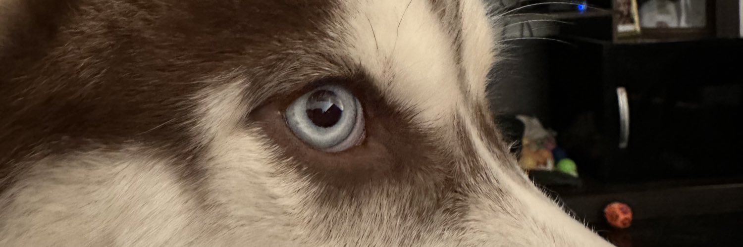 Otti banner