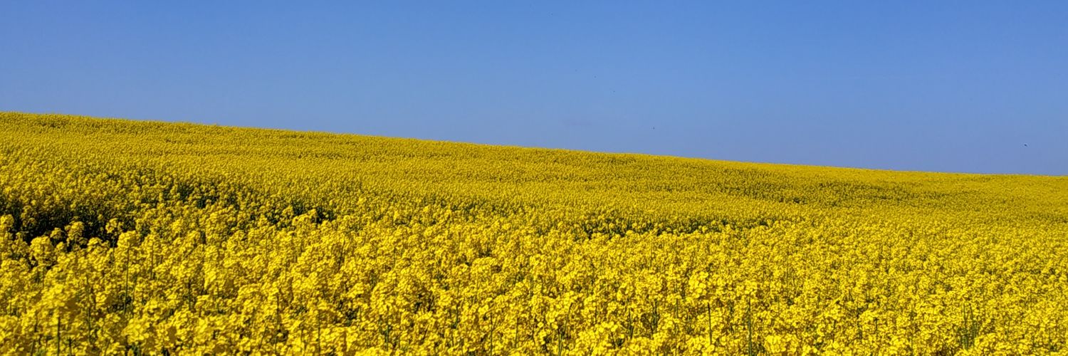 Opalnik's profile banner image