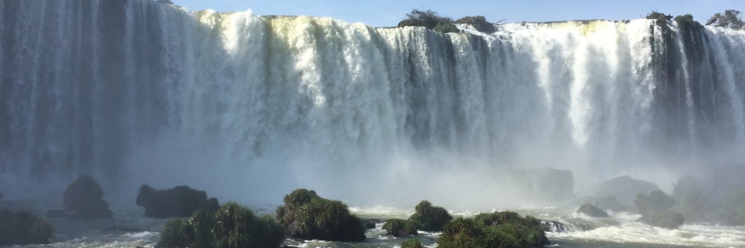 Sarah Ann Minge banner