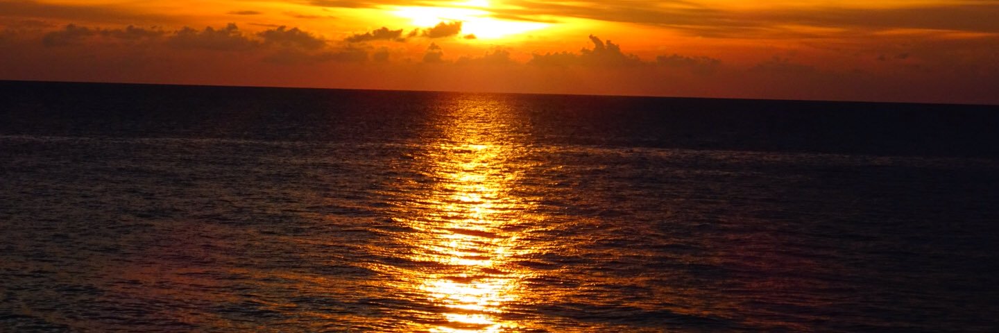 D_Probets86's profile banner image