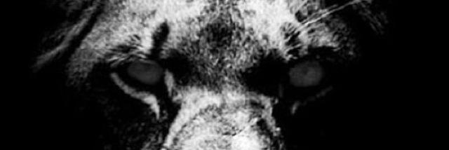 tero89's profile banner image