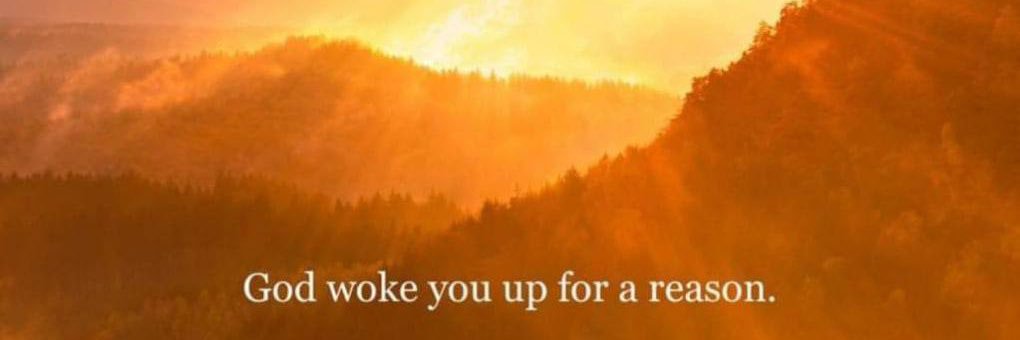 Jenny Marie ✝️🍊🇺🇸🗣 banner