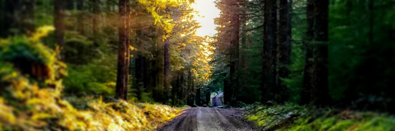 Paulyester's profile banner image
