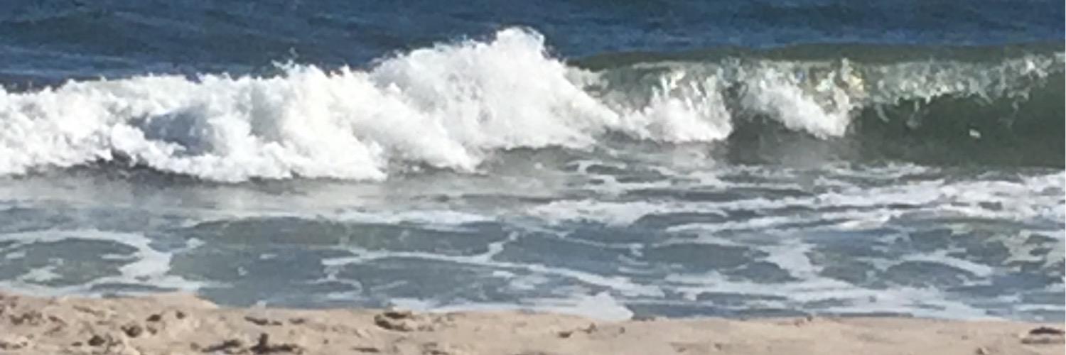 Janisluvssummer's profile banner image