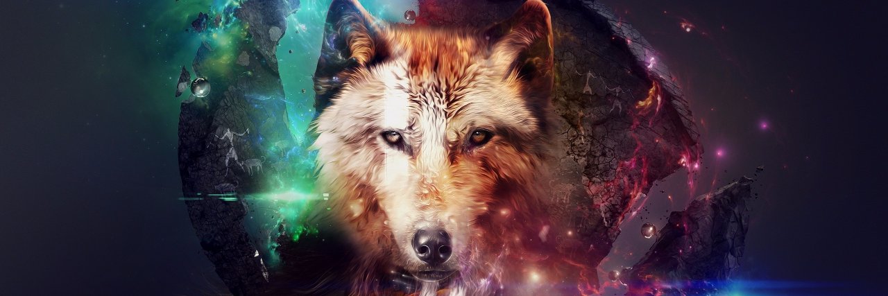 vxzlvt's profile banner image