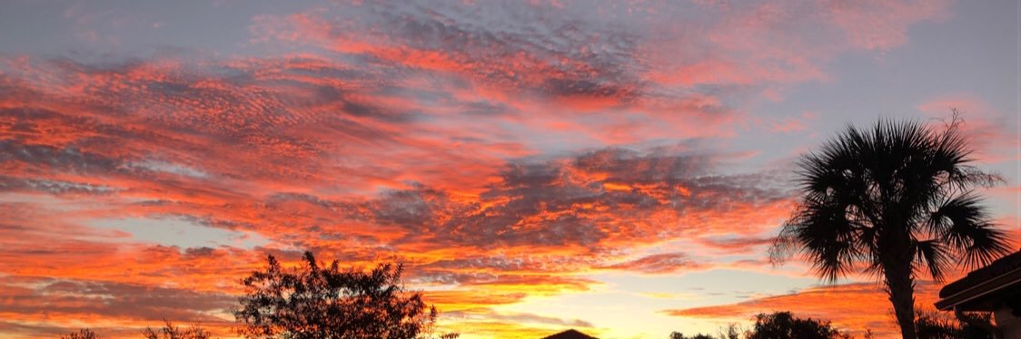 Rlasagna27's profile banner image