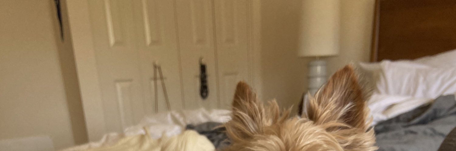 emma banner