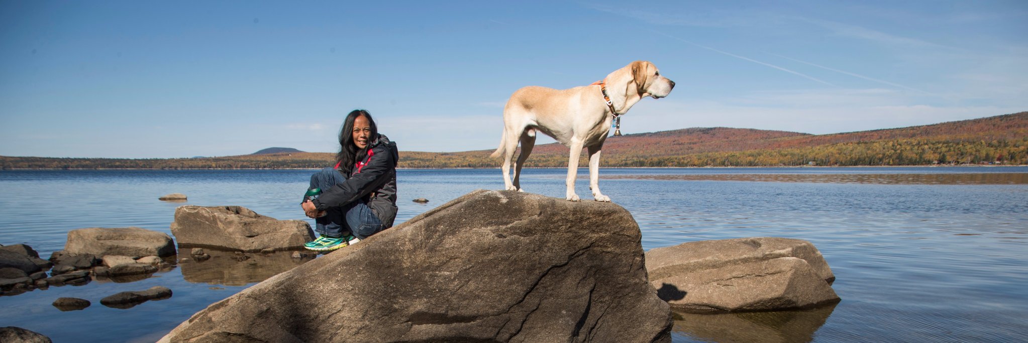 Roxanna Scott banner