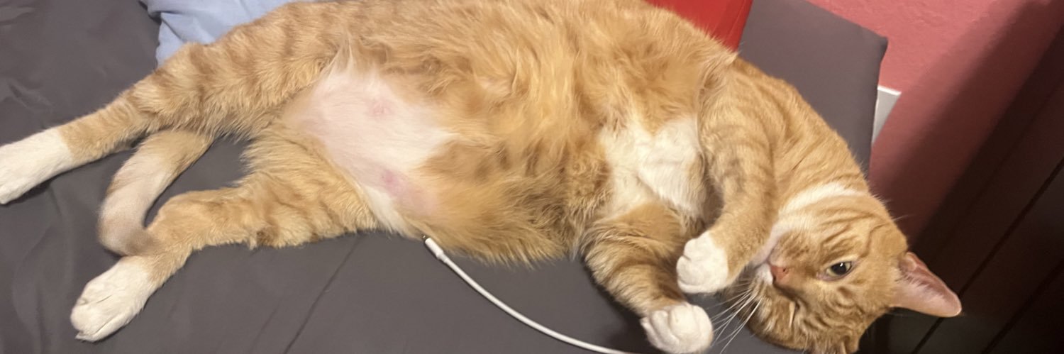 twaterrmelon's profile banner image