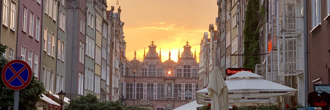 Allison Palasz banner