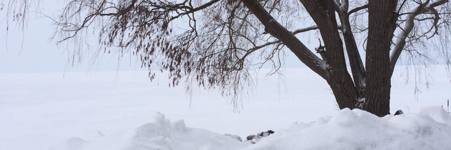 sokormom's profile banner image