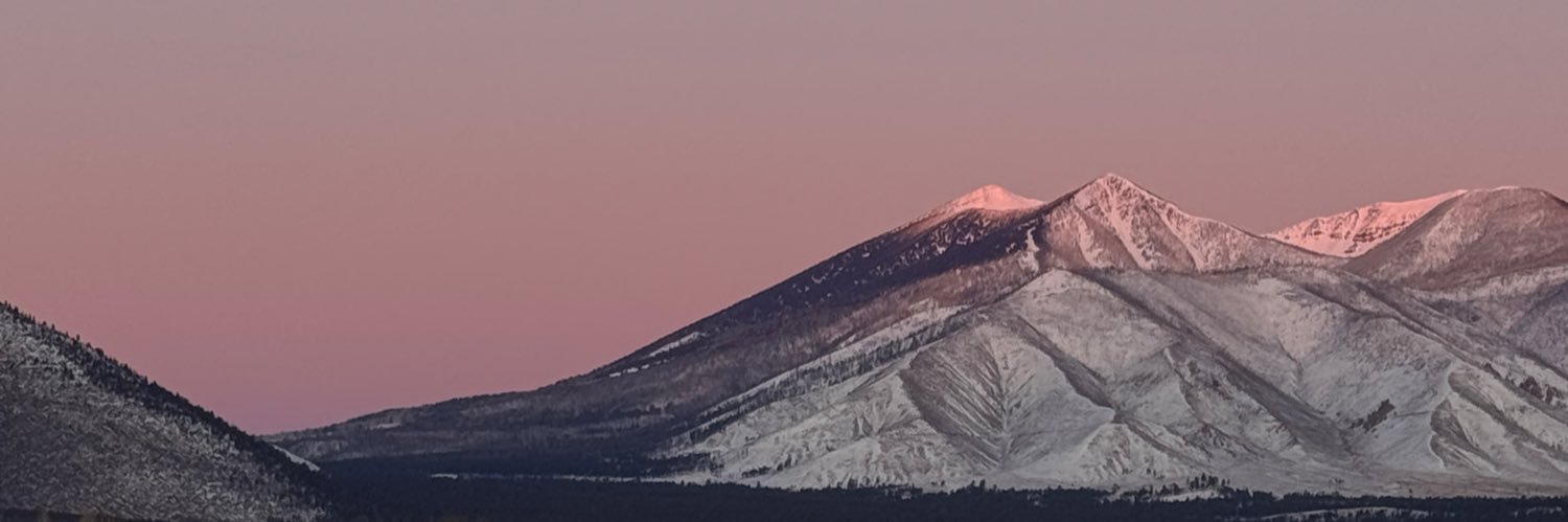 Michelle Sammet banner