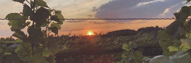 Ridge Road Winery banner