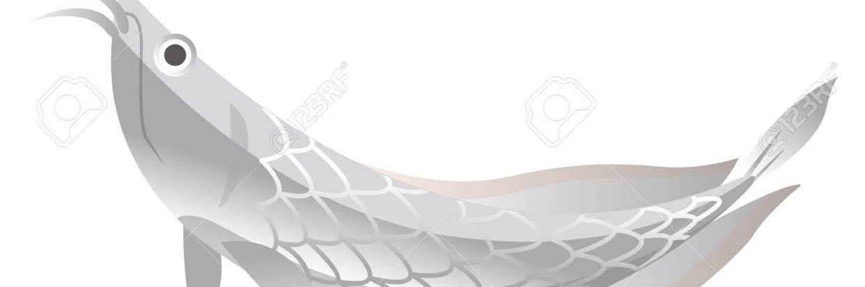 r_rdr1's profile banner image