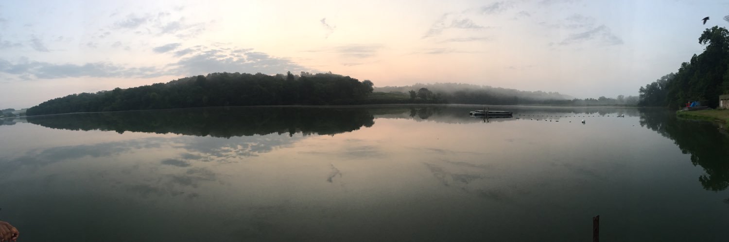 diddlykins's profile banner image