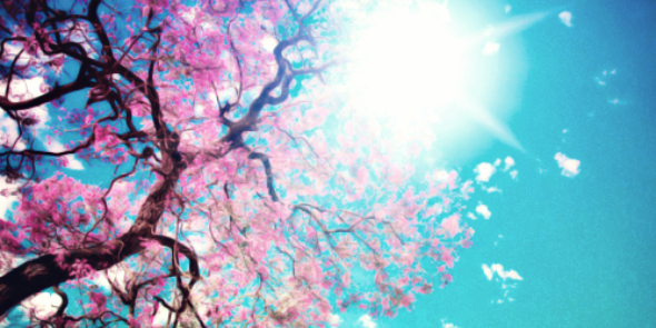 drwxsbby's profile banner image