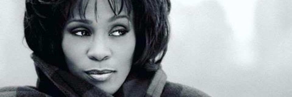 Bad Bunny’s Translator banner