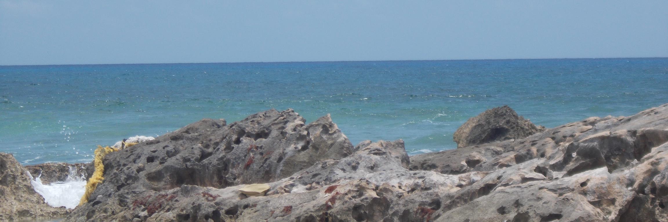 tracy_pett's profile banner image