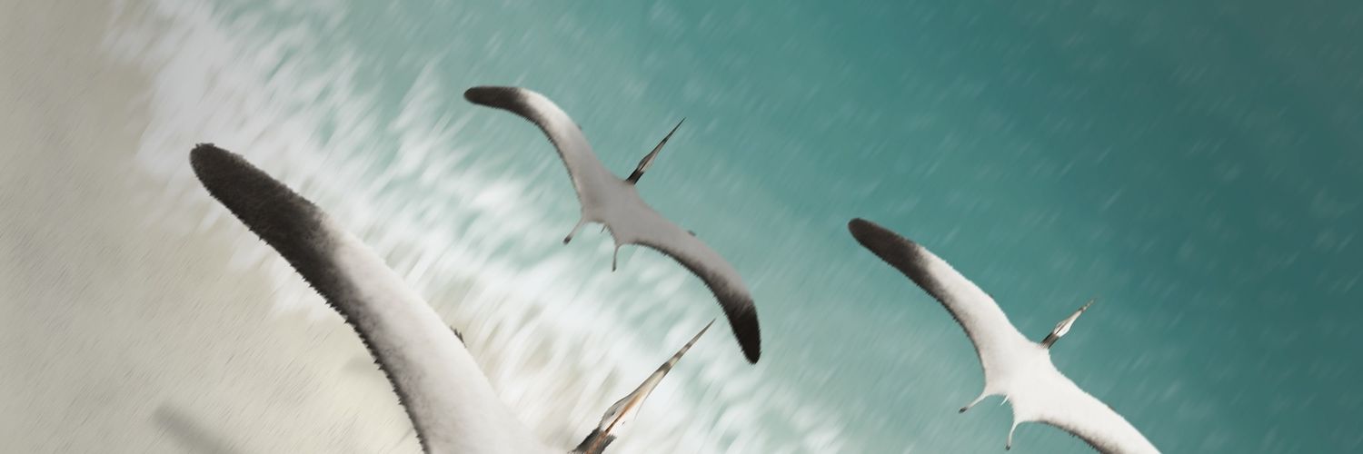 SebaDrawsDinos's profile banner image