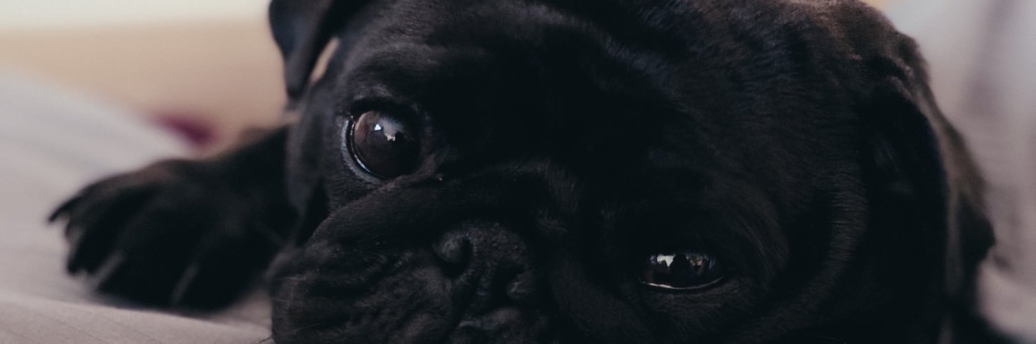 realvesd's profile banner image