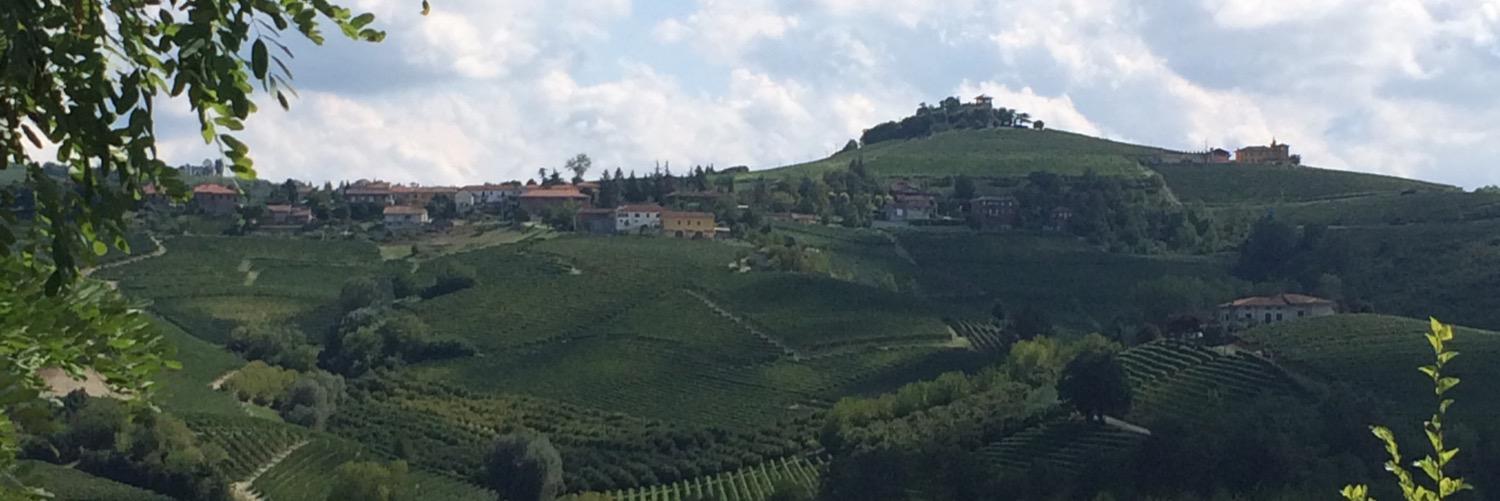 MDSomm's profile banner image