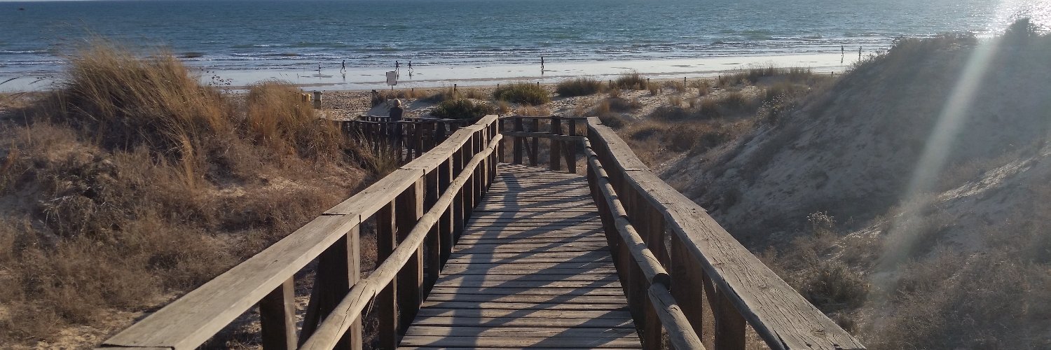 dr. apocalipsis banner