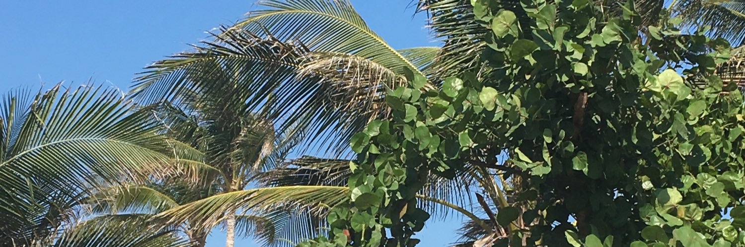 theburger4's profile banner image