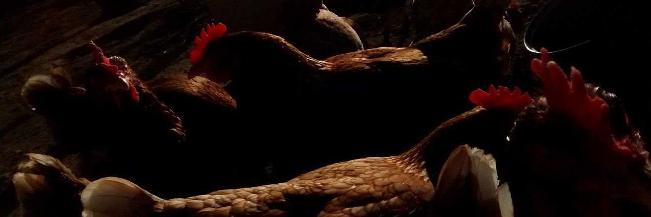 MrClearhead's profile banner image