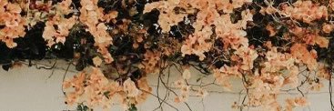 mEEkah_3's profile banner image
