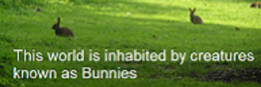 Jeff's banner