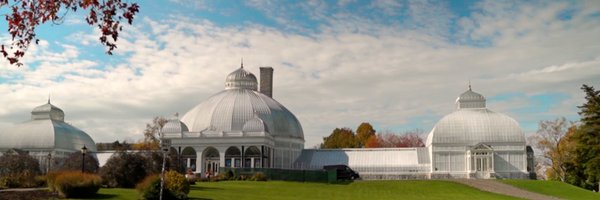 SPECNews1BUF Profile Banner