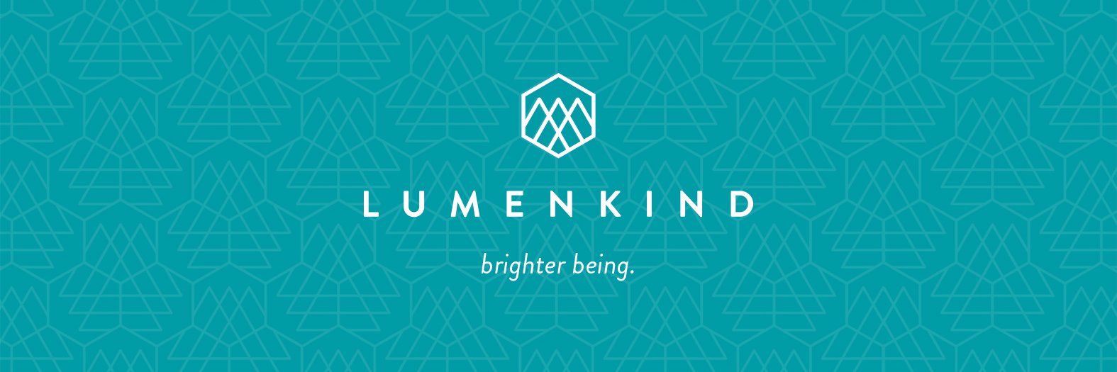 Lumenkind's profile banner image