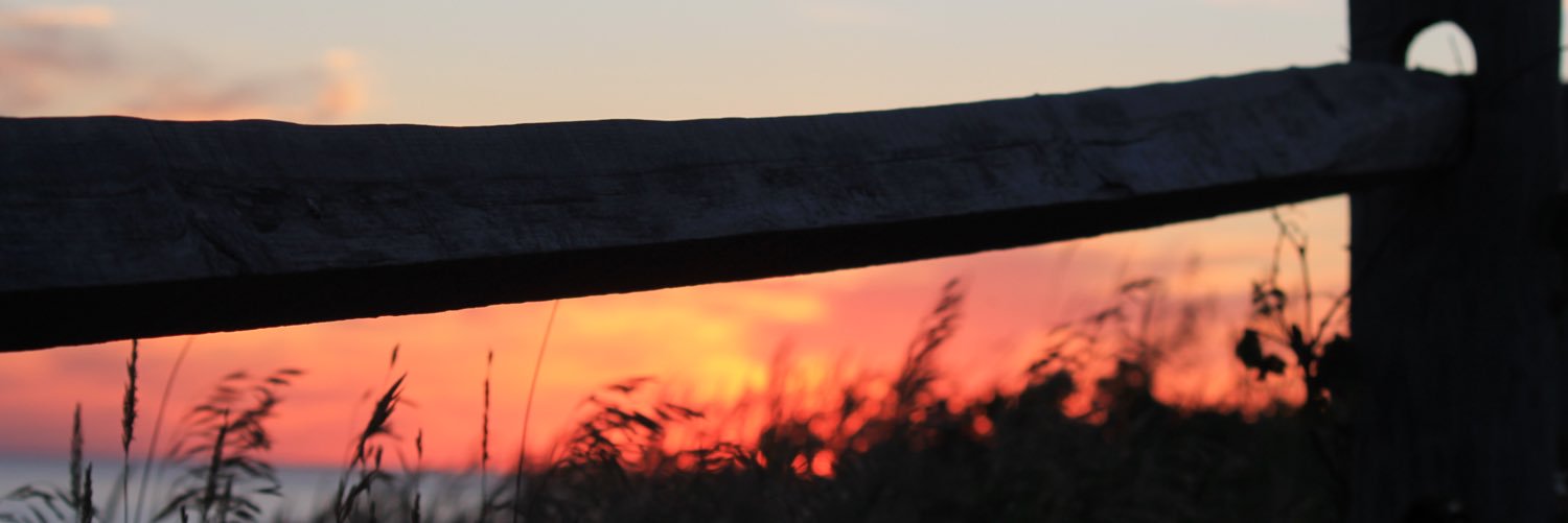 melanne209's profile banner image