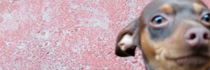 AlePruw's profile banner image