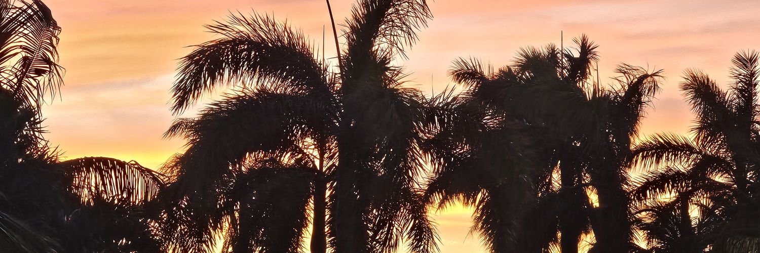 M_Black07's profile banner image