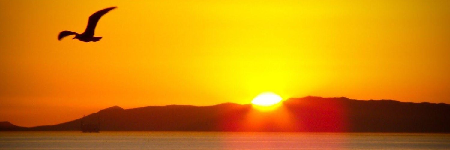 ashywhite's profile banner image