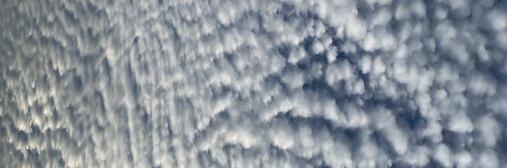 katiaborja's profile banner image