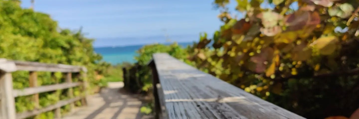 BDunams's profile banner image